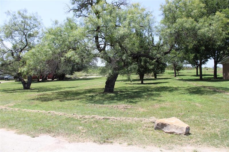 225 Avolyne Avenue, Brownwood TX 76801 - Photo 34