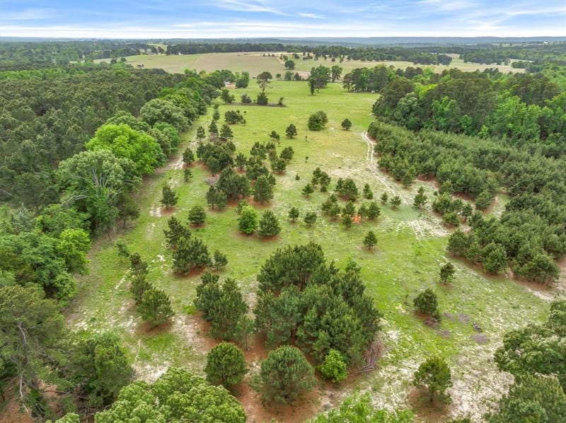13608 N SH-110, Tyler TX 75704 - Photo 12