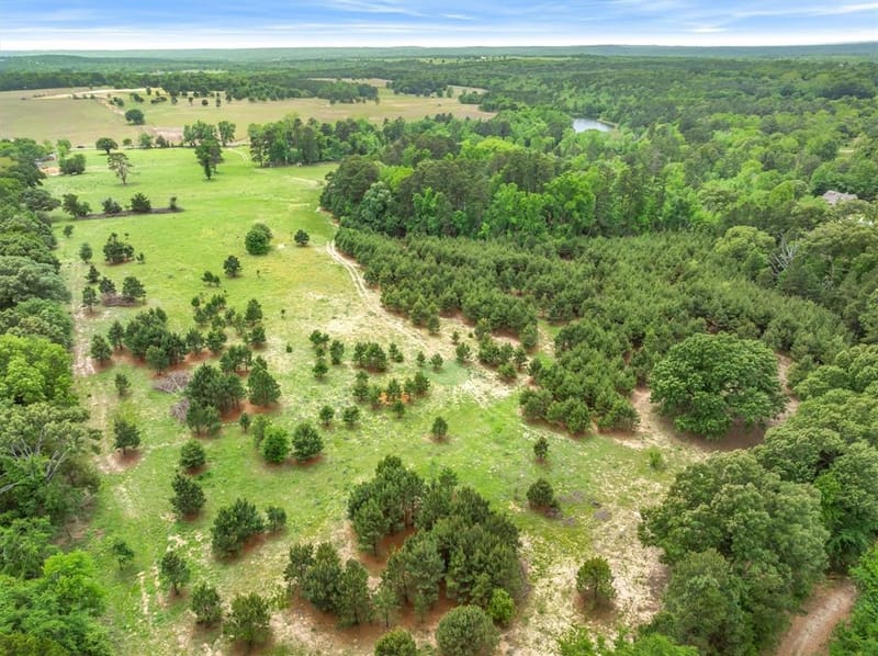 13608 N SH-110, Tyler TX 75704 - Photo 11
