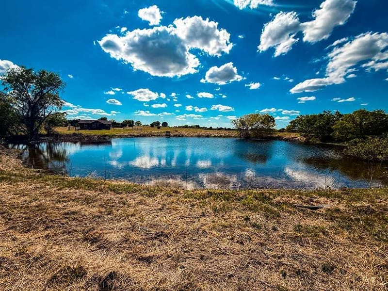 601 County Road 60, Gatesville TX 76528 - Photo 6