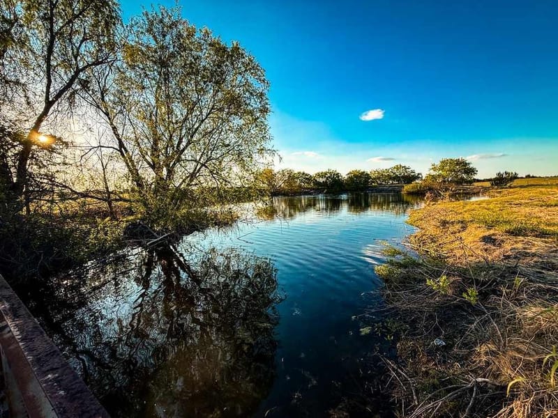 601 County Road 60, Gatesville TX 76528 - Photo 7