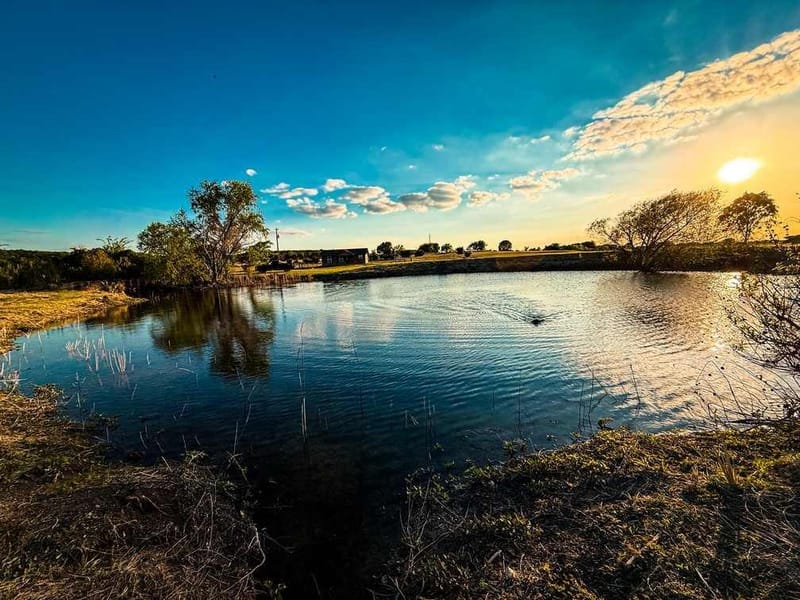 601 County Road 60, Gatesville TX 76528 - Photo 28