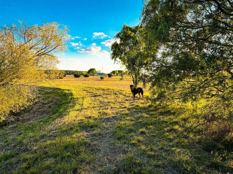 601 County Road 60, Gatesville TX 76528 - Photo 38