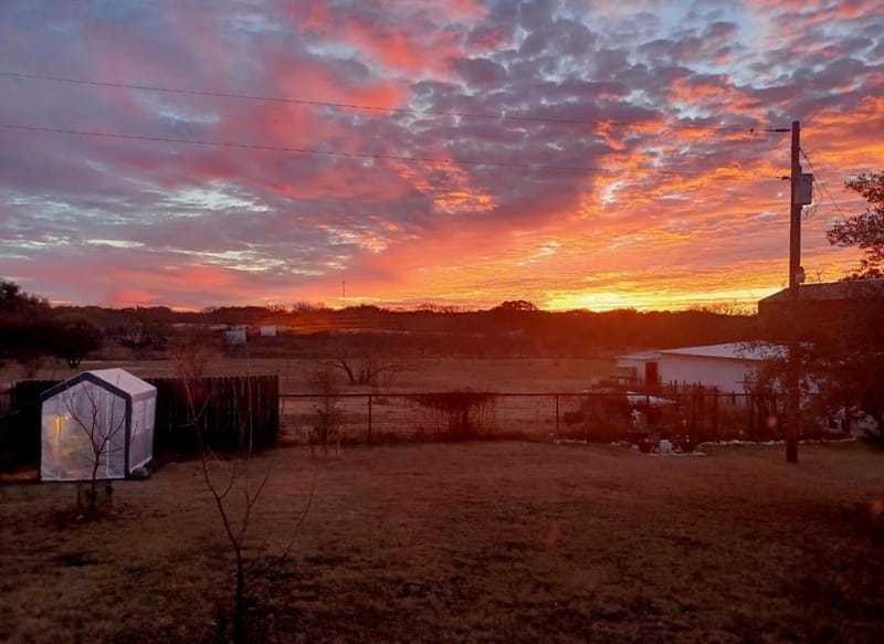 7250 County Road 350, Blanket TX 76432 - Photo 38