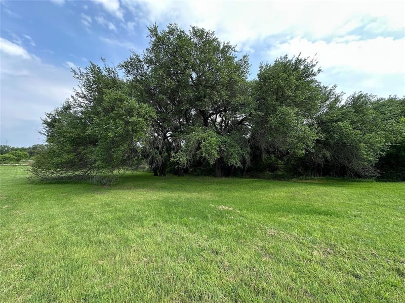 7250 County Road 350, Blanket TX 76432 - Photo 33