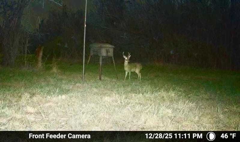 7600 County Road 1500, Athens TX 75751 - Photo 20