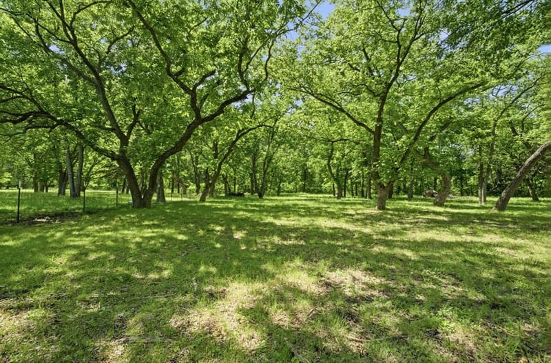 1499 Harrell Road, Howe TX 75459 - Photo 5