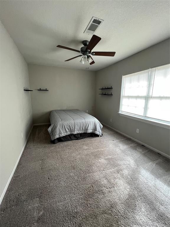 2809 N Murco Drive, Mineral Wells TX 76067 - Photo 29