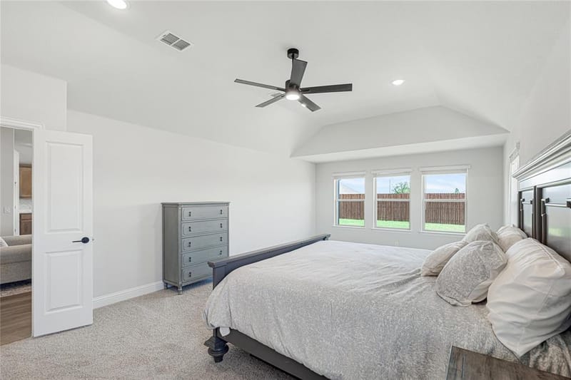 420 Carnero Drive, Granbury TX 76048 - Photo 19