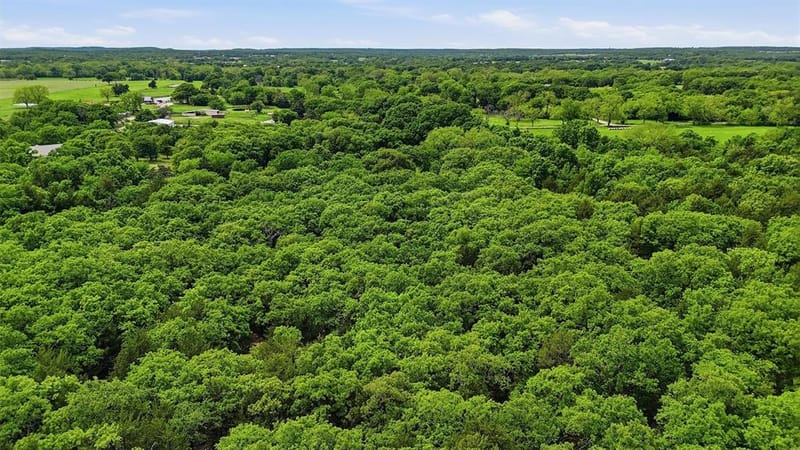 4476 County Road 107, Gainesville TX 76240 - Photo 38