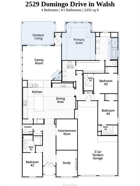 2529 Domingo Drive, Aledo TX 76008 - Photo 13