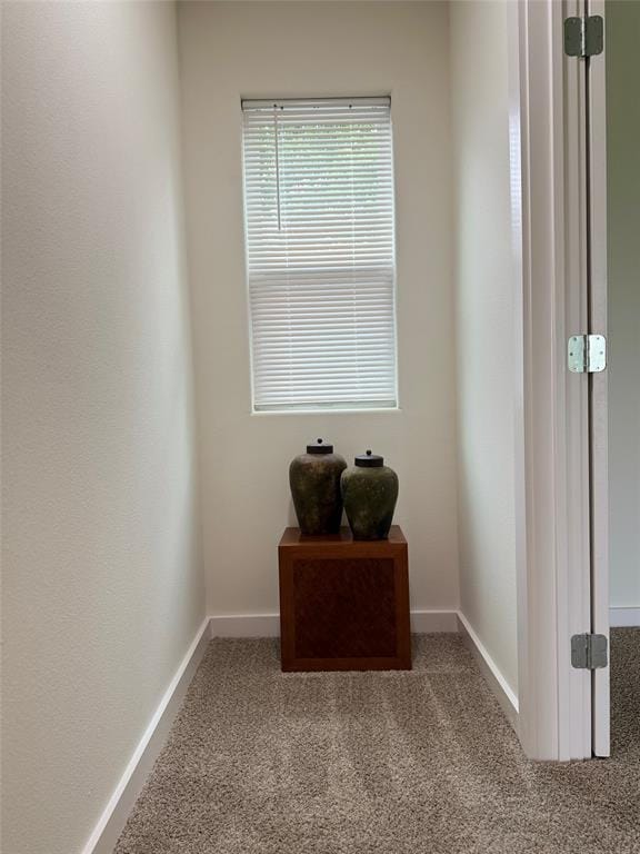 513 W South Street, Whitesboro TX 76273 - Photo 30