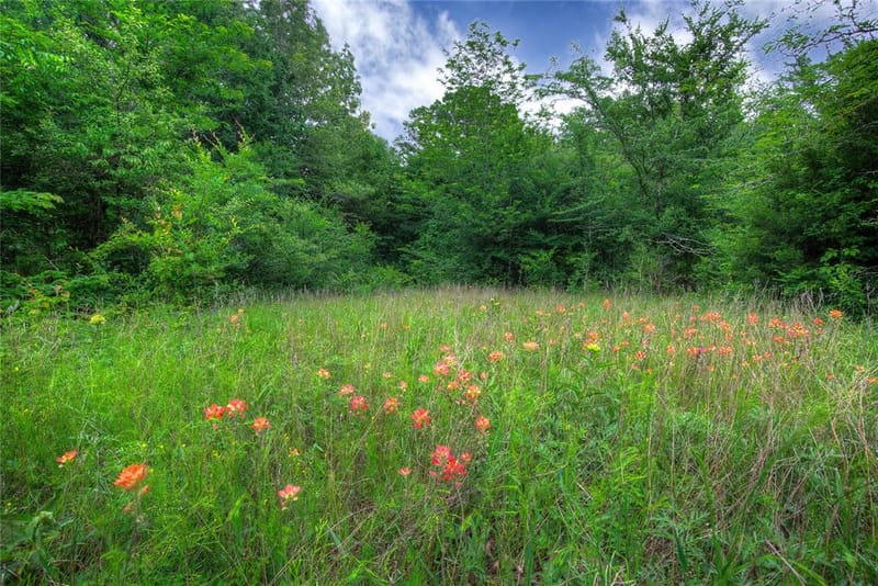 1774 County Road 3562, Dike TX 75437 - Photo 20