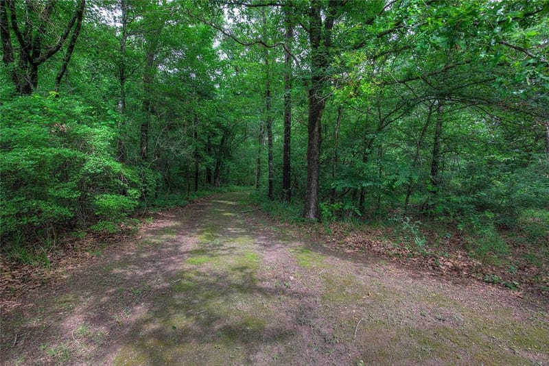 1774 County Road 3562, Dike TX 75437 - Photo 33