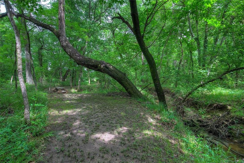 1774 County Road 3562, Dike TX 75437 - Photo 31