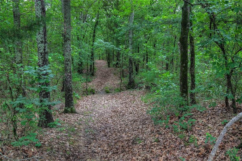 1774 County Road 3562, Dike TX 75437 - Photo 29