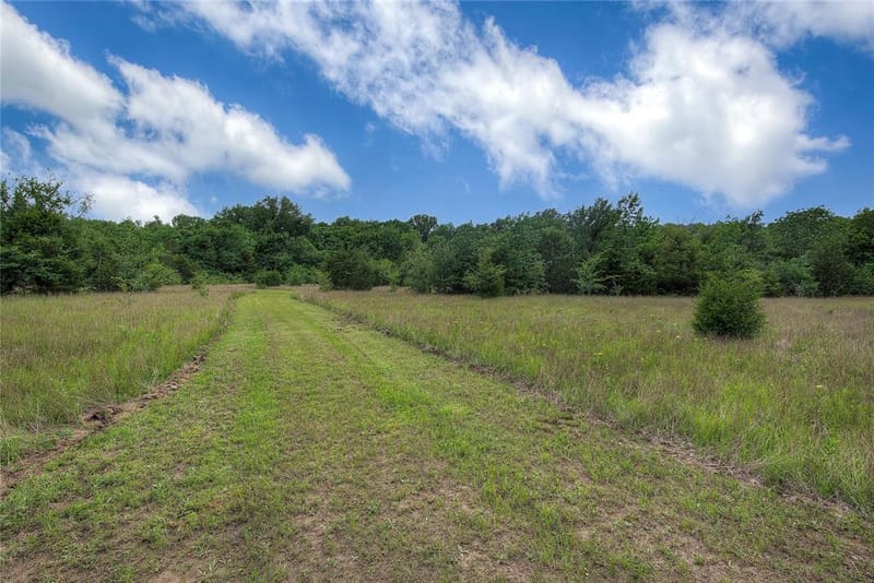 1774 County Road 3562, Dike TX 75437 - Photo 25