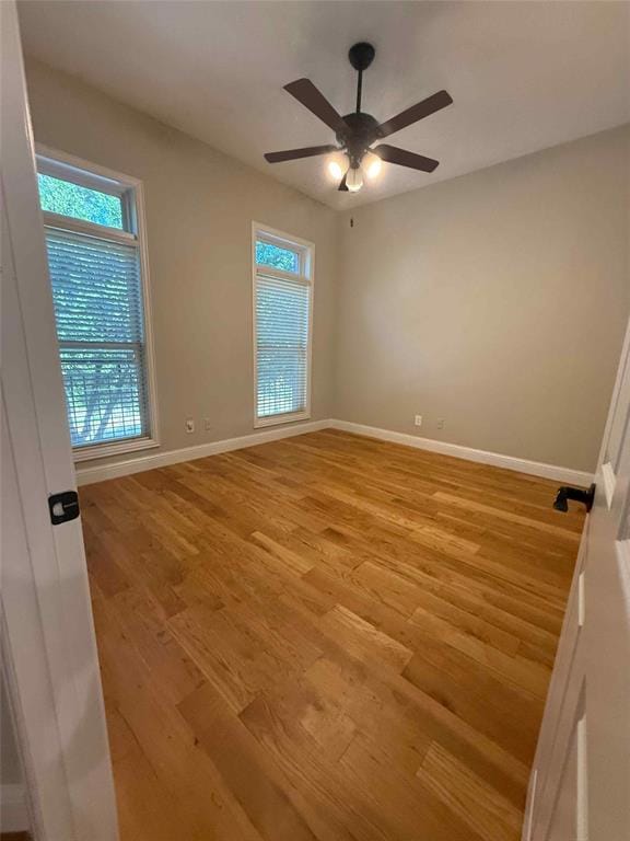 8242 Library Street, Frisco TX 75034 - Photo 14