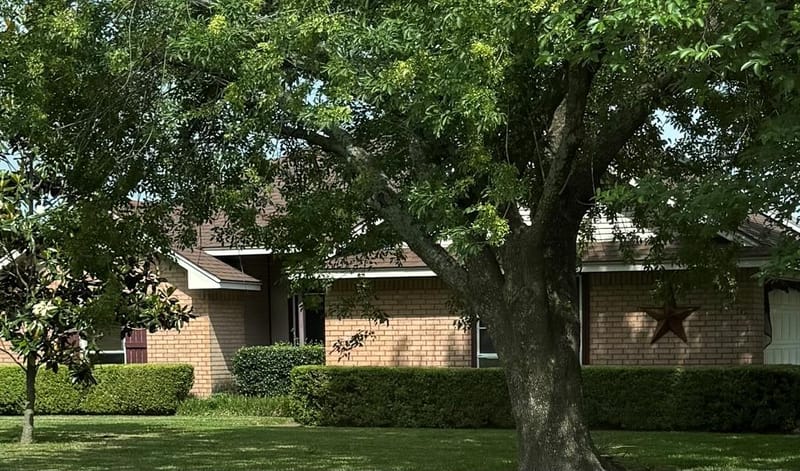 202 Castleridge Drive, Red Oak TX 75154