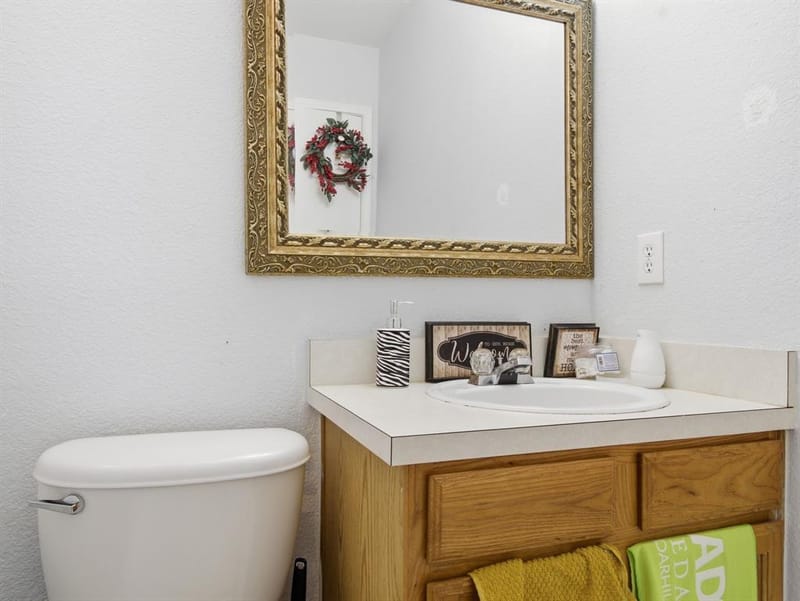1089 Cove Hollow Drive, Cedar Hill TX 75104 - Photo 20
