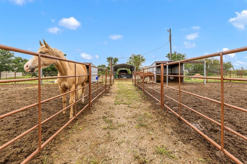 224 Rocky Hill Road, Brownwood TX 76801 - Photo 10