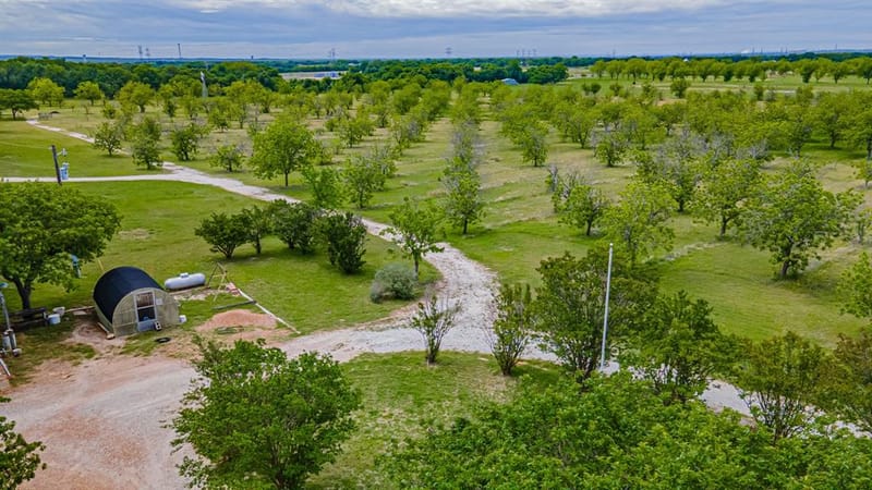 6520 Fall Creek Highway, Granbury TX 76049 - Photo 39