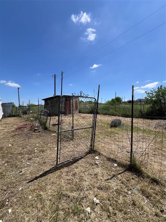 4215 Lanark Drive, Cresson TX 76035 - Photo 7