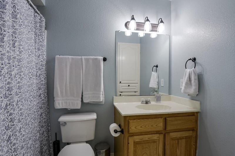 339 Meadow Lane, Red Oak TX 75154 - Photo 16