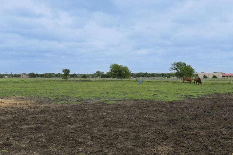 339 Meadow Lane, Red Oak TX 75154 - Photo 28