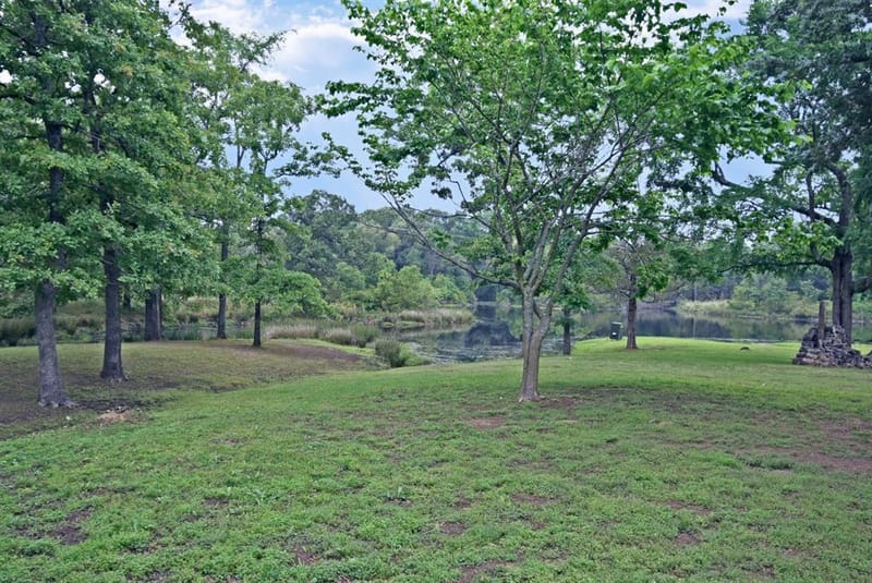 289 County Road 4192, Quitman TX 75783 - Photo 30