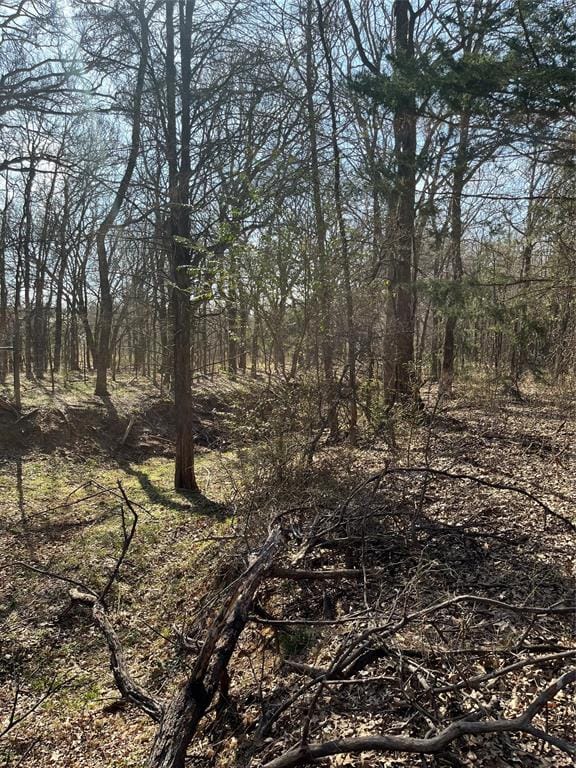 833 County Road 426, Cleburne TX 76031 - Photo 6