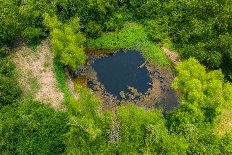 479 County Road 27450, Honey Grove TX 75477 - Photo 15