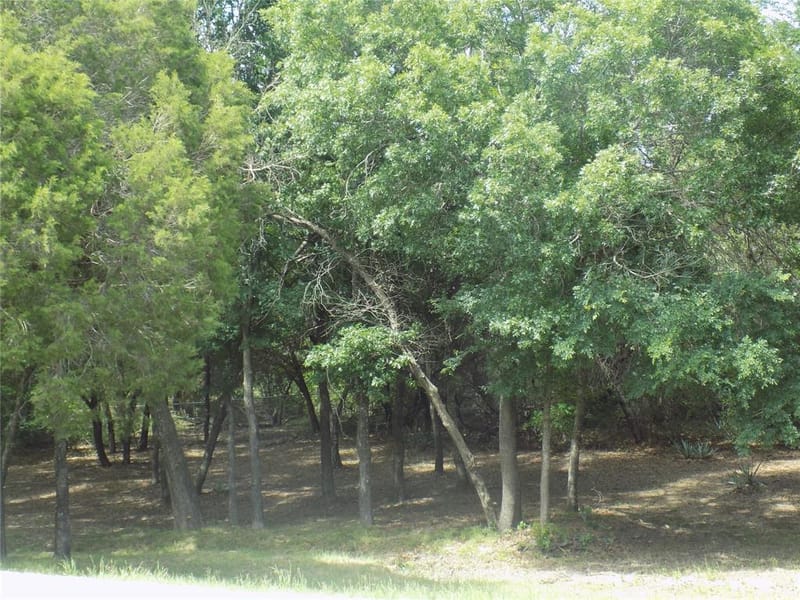 203 S Ridgeview Court, Azle TX 76020 - Photo 27