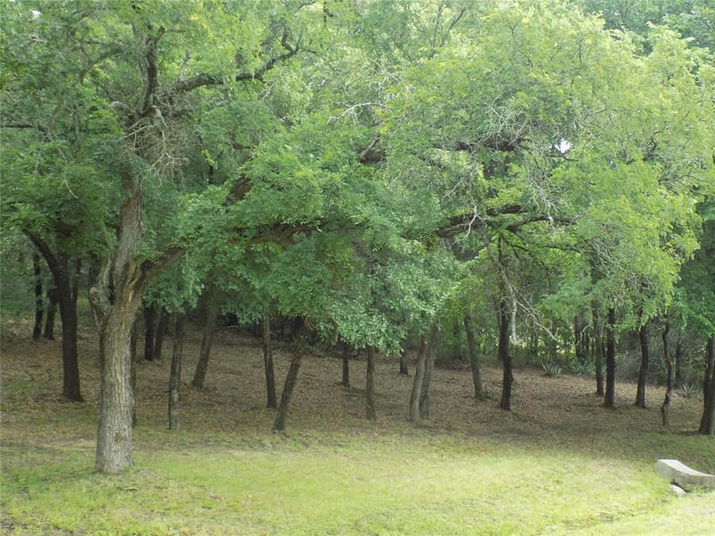 203 S Ridgeview Court, Azle TX 76020 - Photo 24