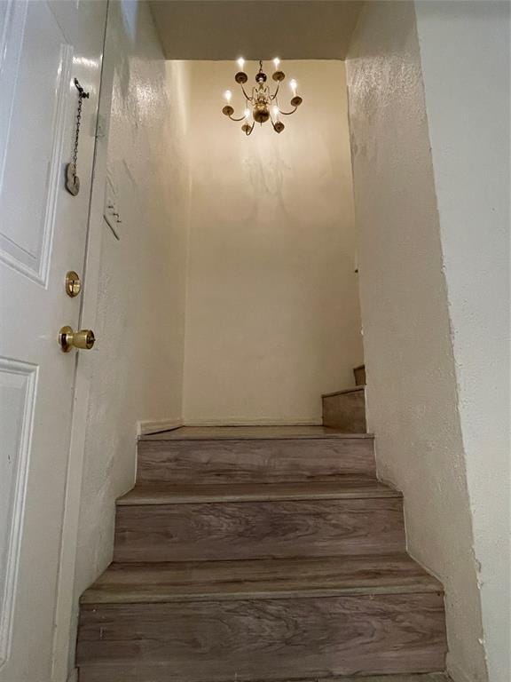 2313 Trellis Place, Richardson TX 75081 - Photo 13