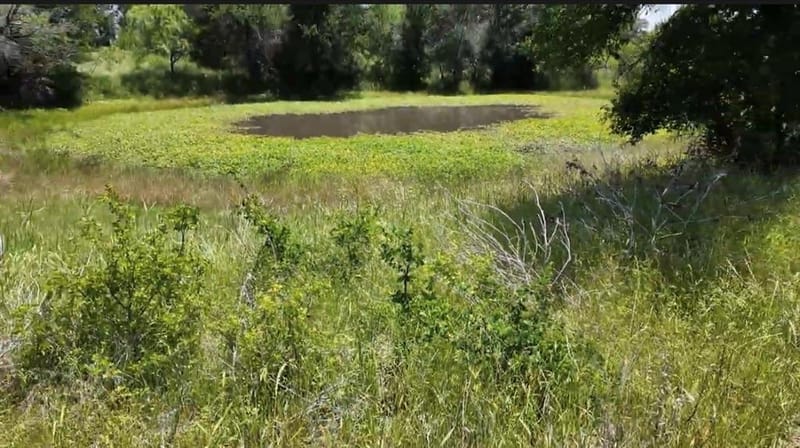 932 Fm 3137, Palo Pinto TX 76484 - Photo 34