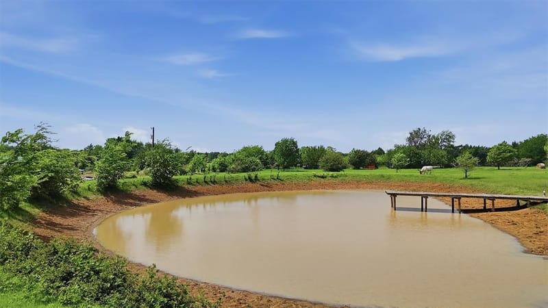 2139 Keefer Road, Pottsboro TX 75076 - Photo 10