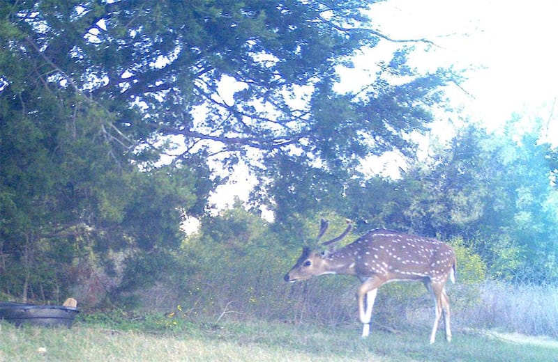 5636 Fm 56, Clifton TX 76634 - Photo 36