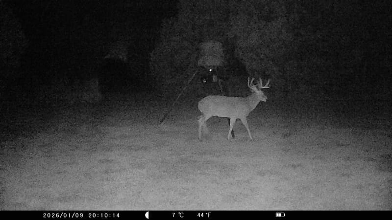 5636 Fm 56, Clifton TX 76634 - Photo 34