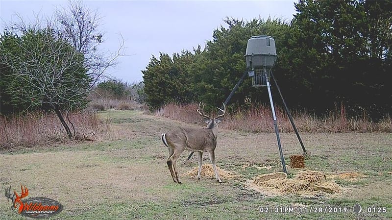5636 Fm 56, Clifton TX 76634 - Photo 38
