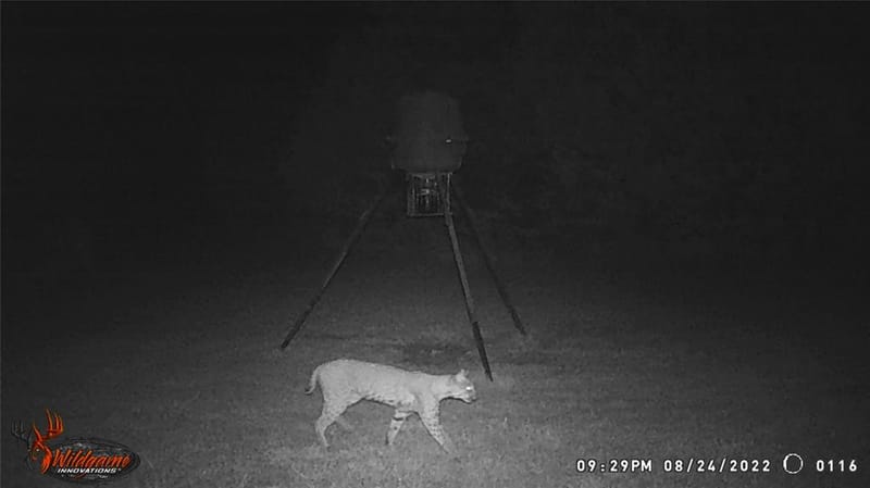 5636 Fm 56, Clifton TX 76634 - Photo 37