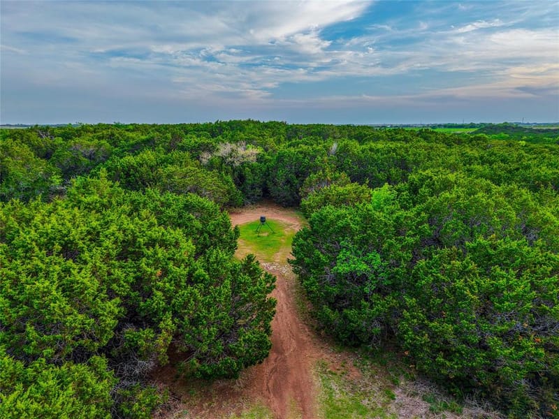 5636 Fm 56, Clifton TX 76634 - Photo 29