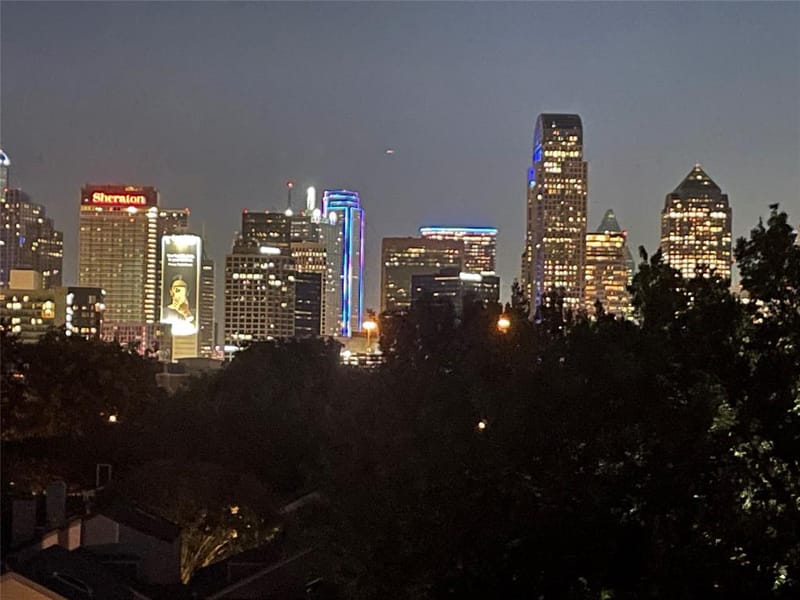 1442 Pecos Street, Dallas TX 75204 - Photo 29
