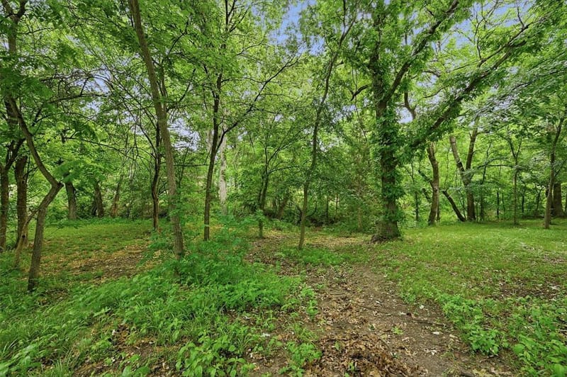 31 Forest Hills Circle, Gunter TX 75058 - Photo 38