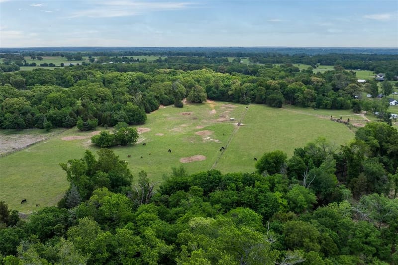 350 FM 1256, Eustace TX 75124 - Photo 38