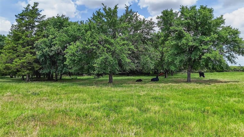 2869 Ranch Road, Whitesboro TX 76273 - Photo 12