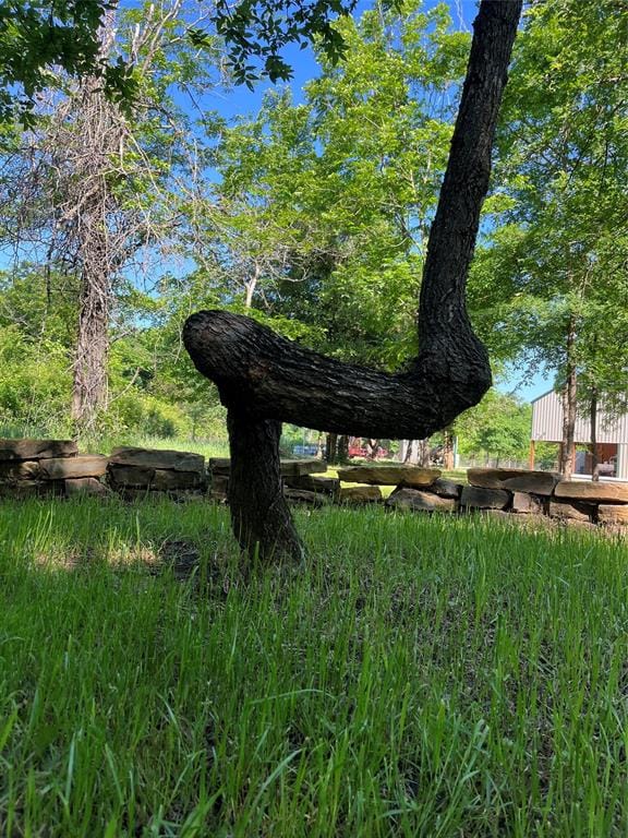 9439 County Road 103, Whitesboro TX 76273 - Photo 34