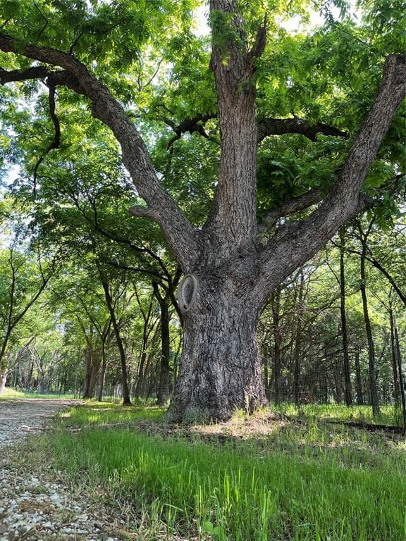 9439 County Road 103, Whitesboro TX 76273 - Photo 33