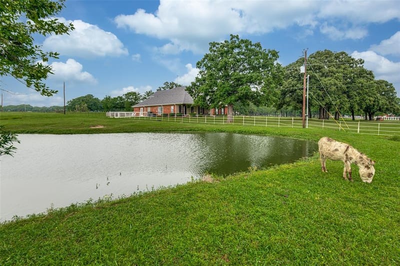 9412 Private Road 2425, Poetry TX 75160 - Photo 32