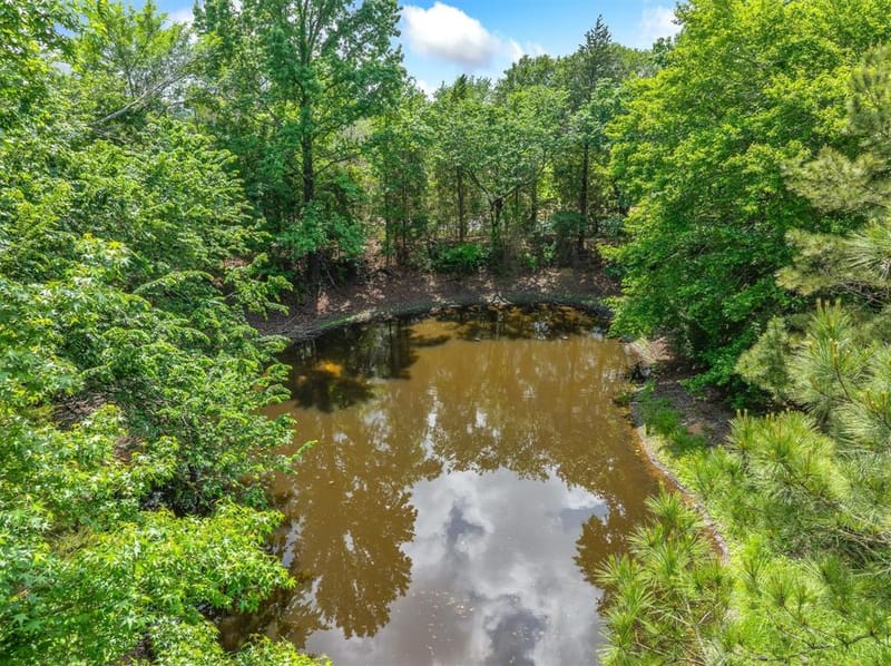 2489 FM 2909, Canton TX 75103 - Photo 6